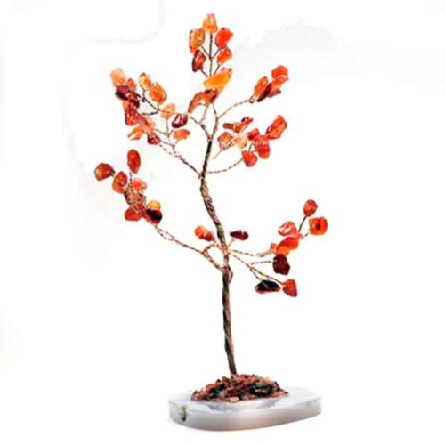 The Tree of Motivation and Inner Fire – Carnelian - Image 2